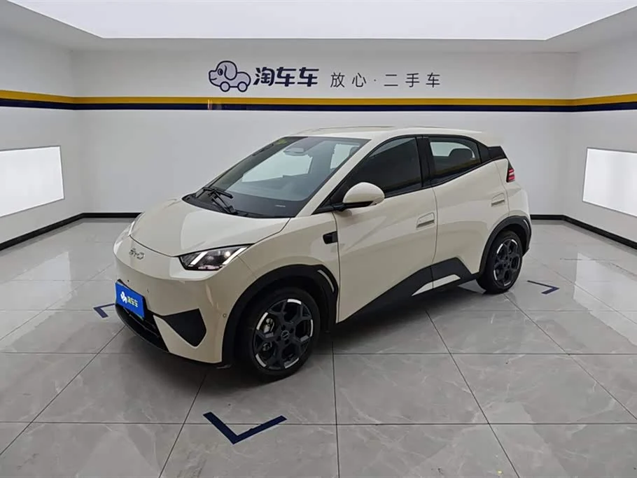 BYD Seagull
