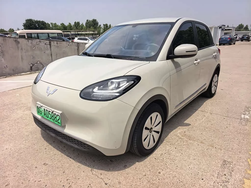 Wuling Binguo