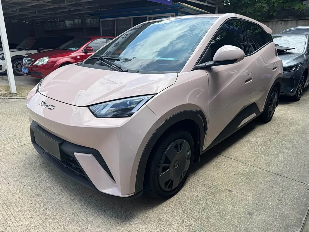 BYD Seagull