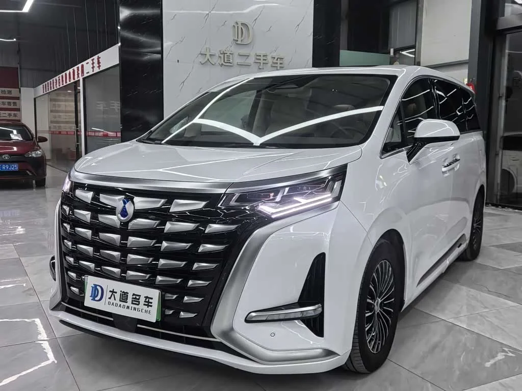 Denza D9