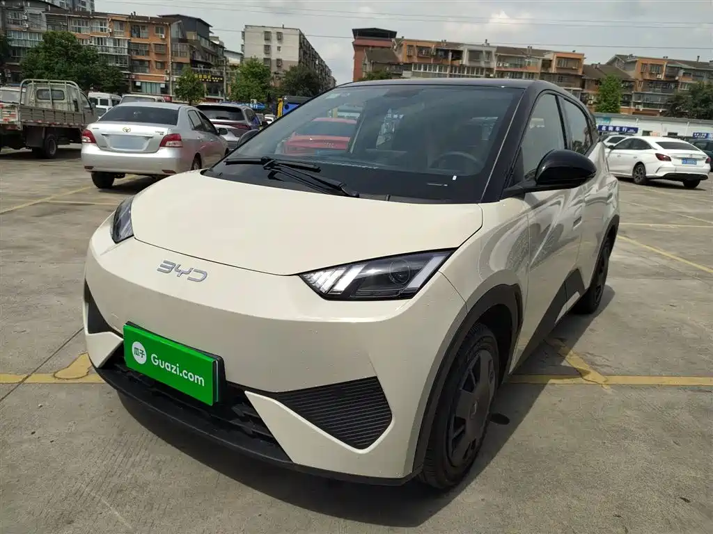 BYD Seagull