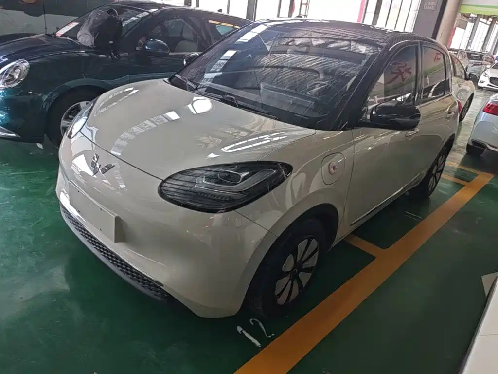 Wuling Binguo