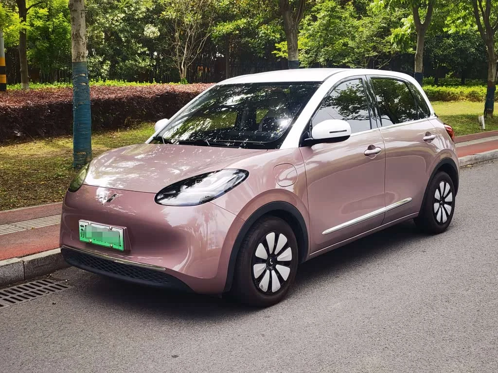 Wuling Binguo