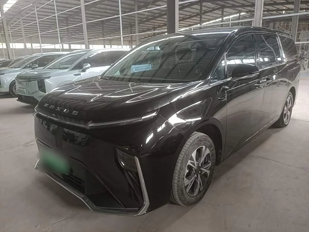 Maxus 9