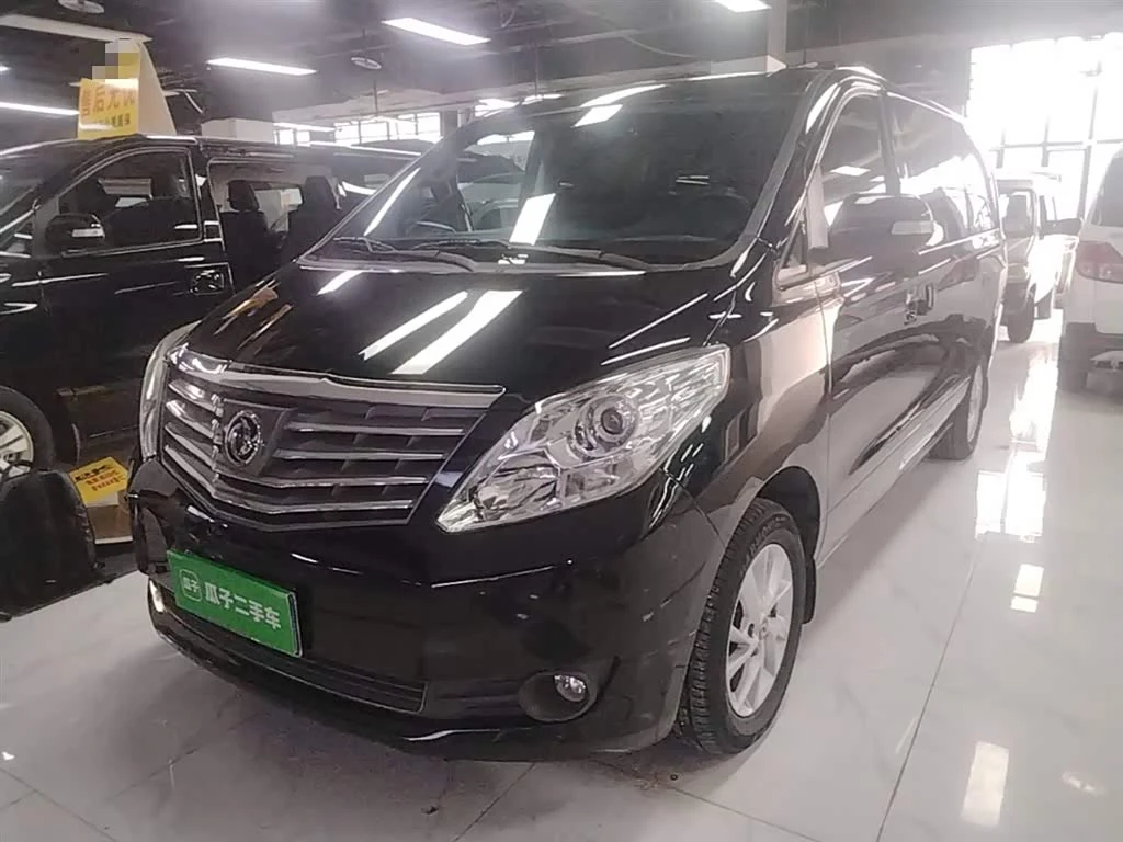 Forthing Lingzhi Plus