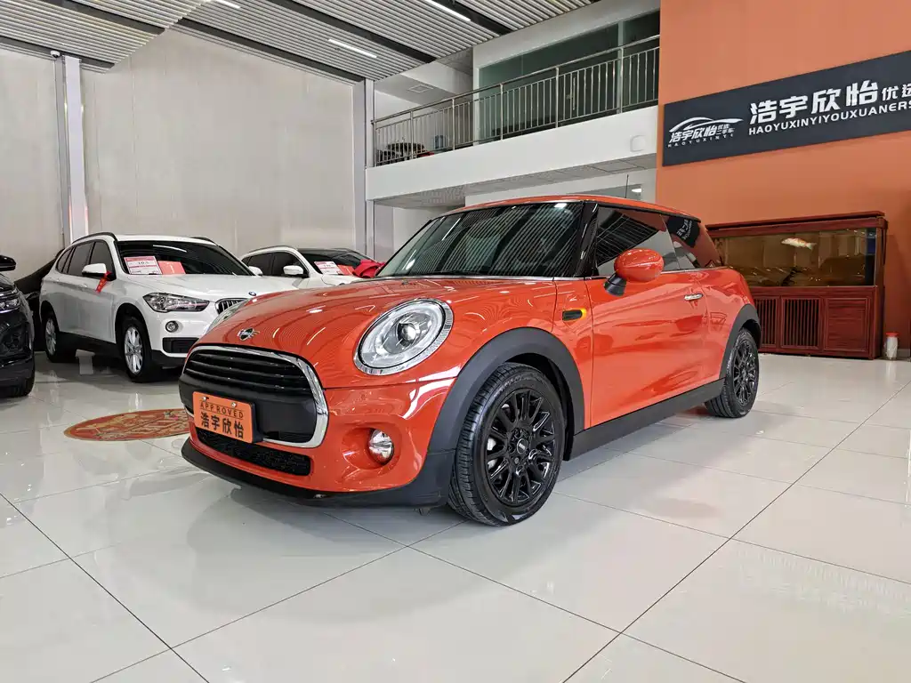 Mini Mini