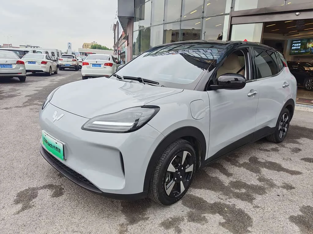 Wuling BinguoPLUS