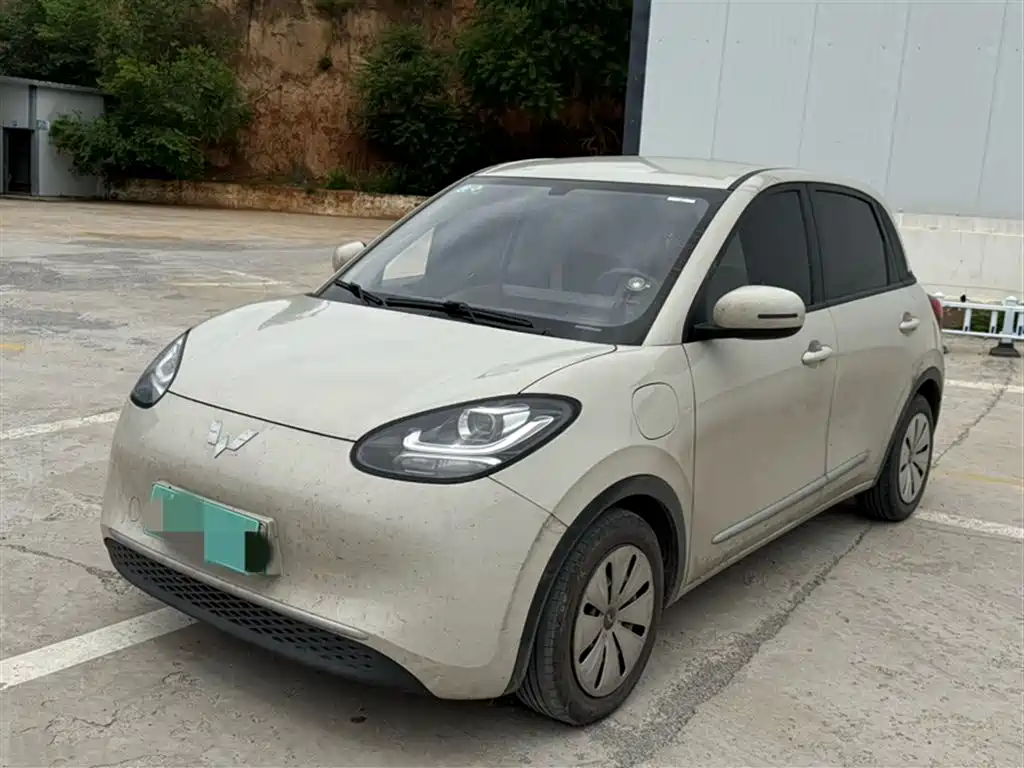 Wuling Binguo