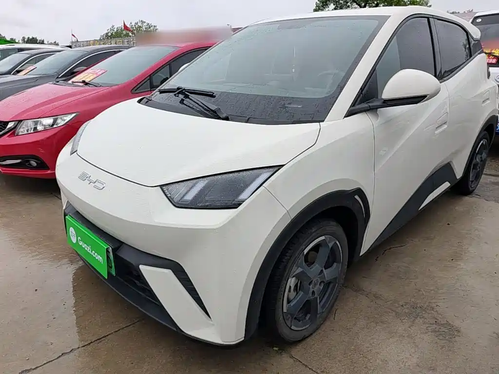 BYD Seagull