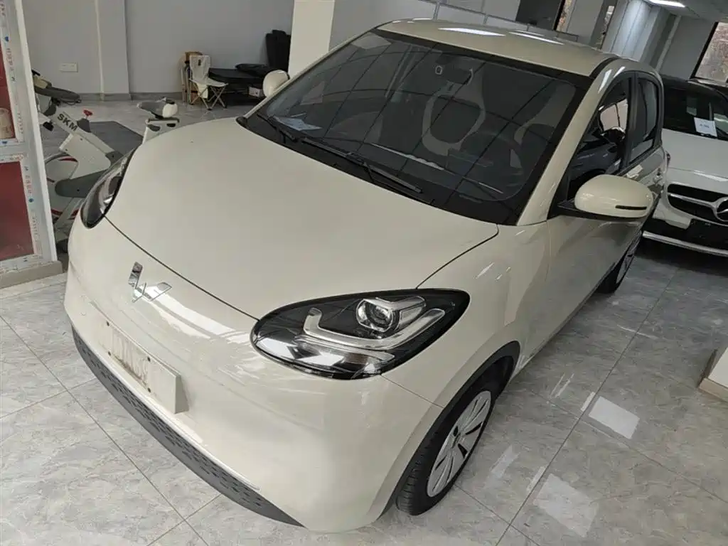 Wuling Binguo