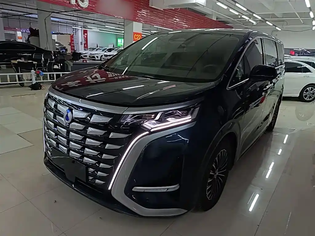 Denza D9