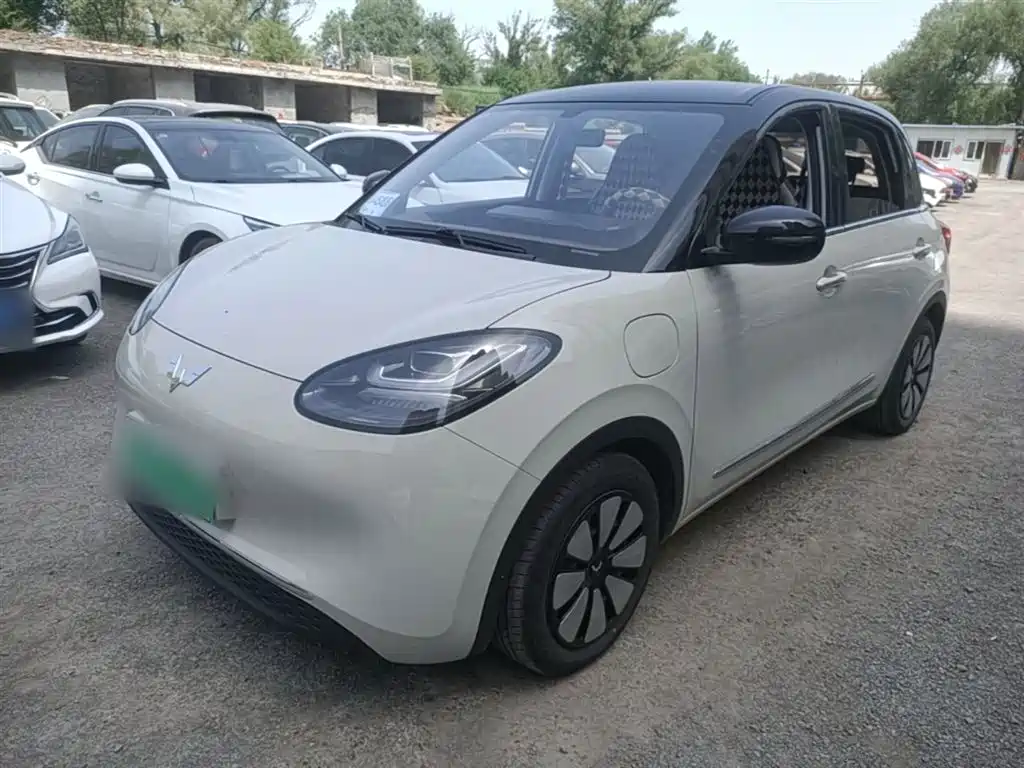 Wuling Binguo