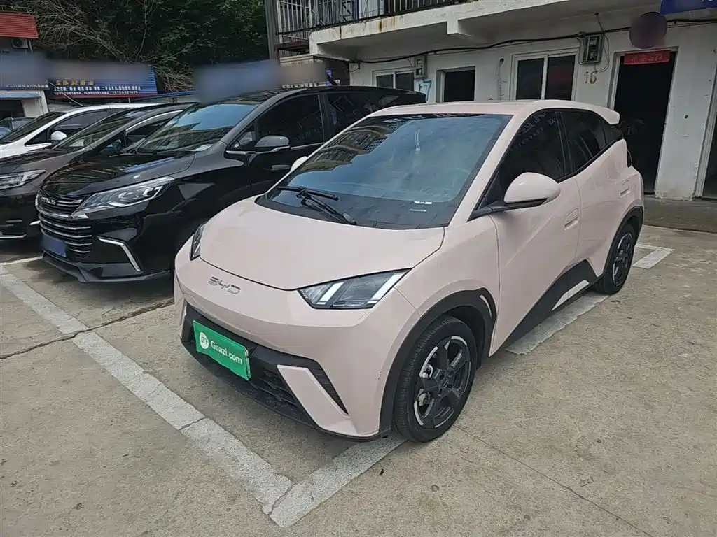BYD Seagull