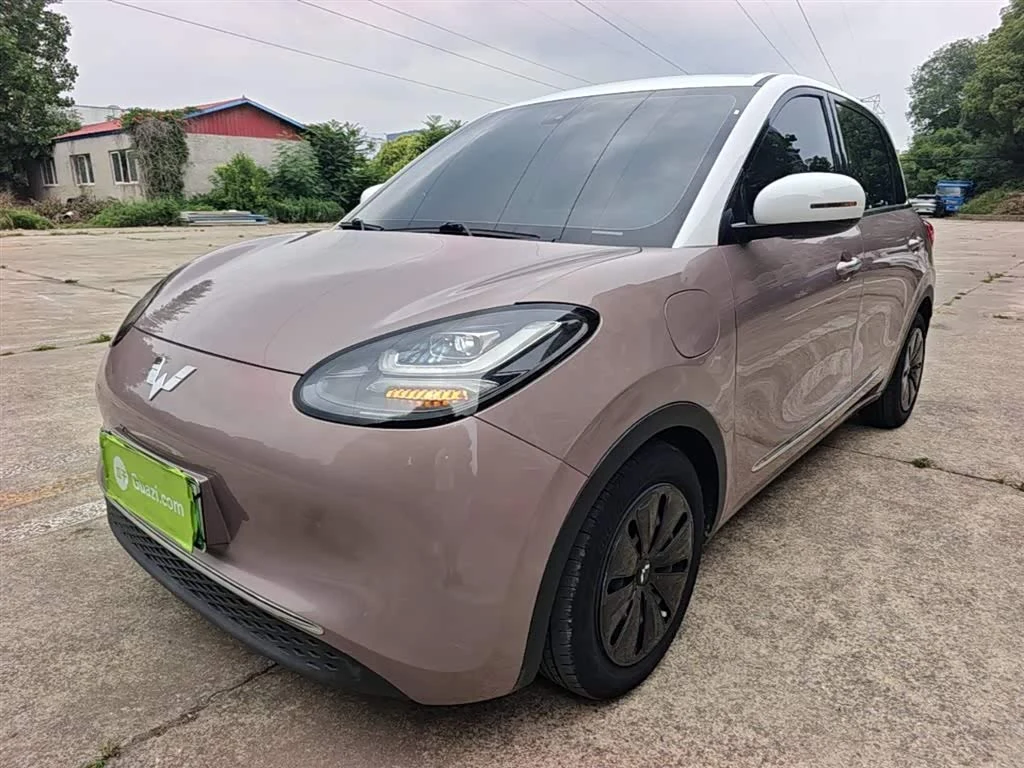 Wuling Binguo