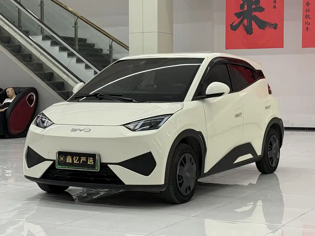 BYD Seagull