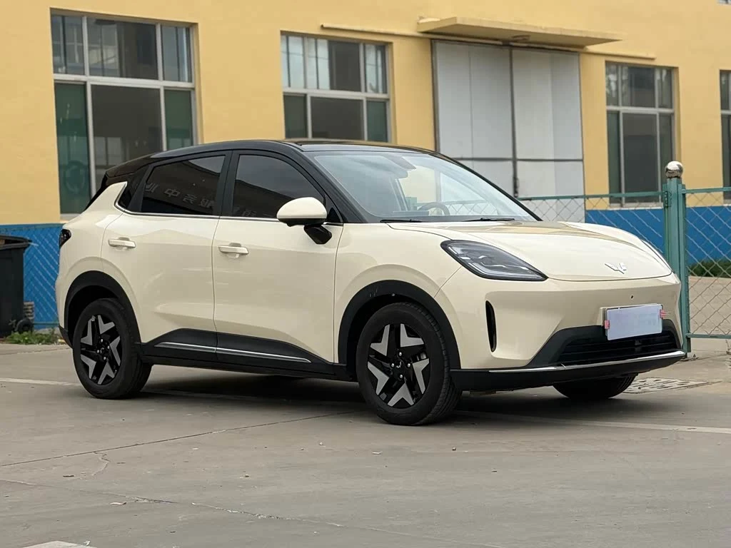 Wuling BinguoS