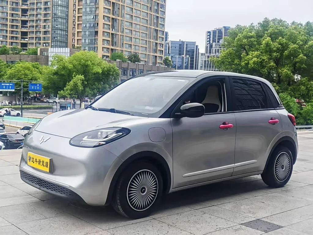 Wuling Binguo