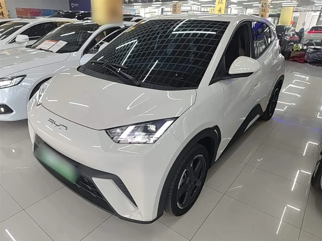BYD Seagull