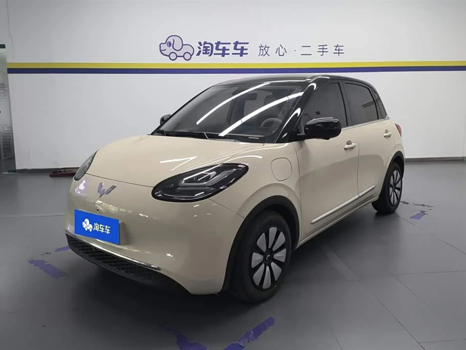 Wuling Binguo