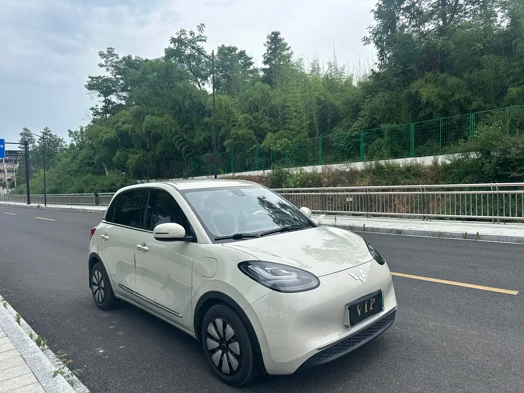 Wuling Binguo