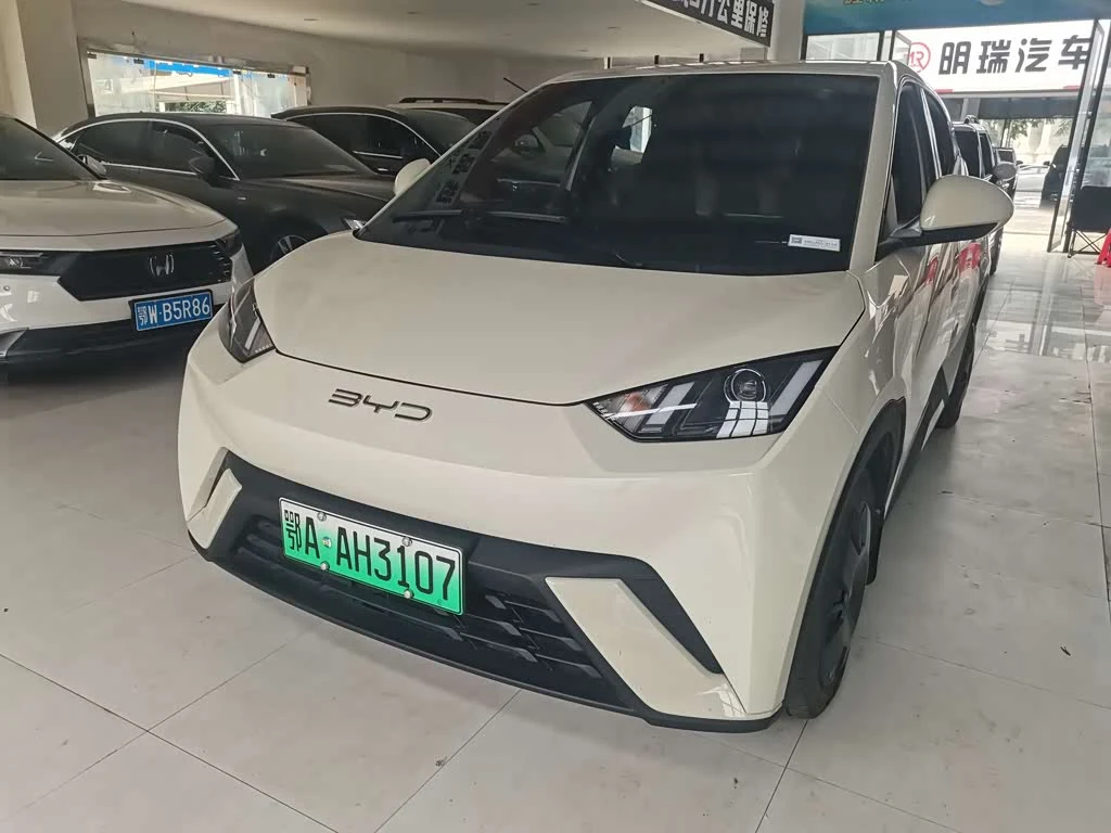 BYD Seagull