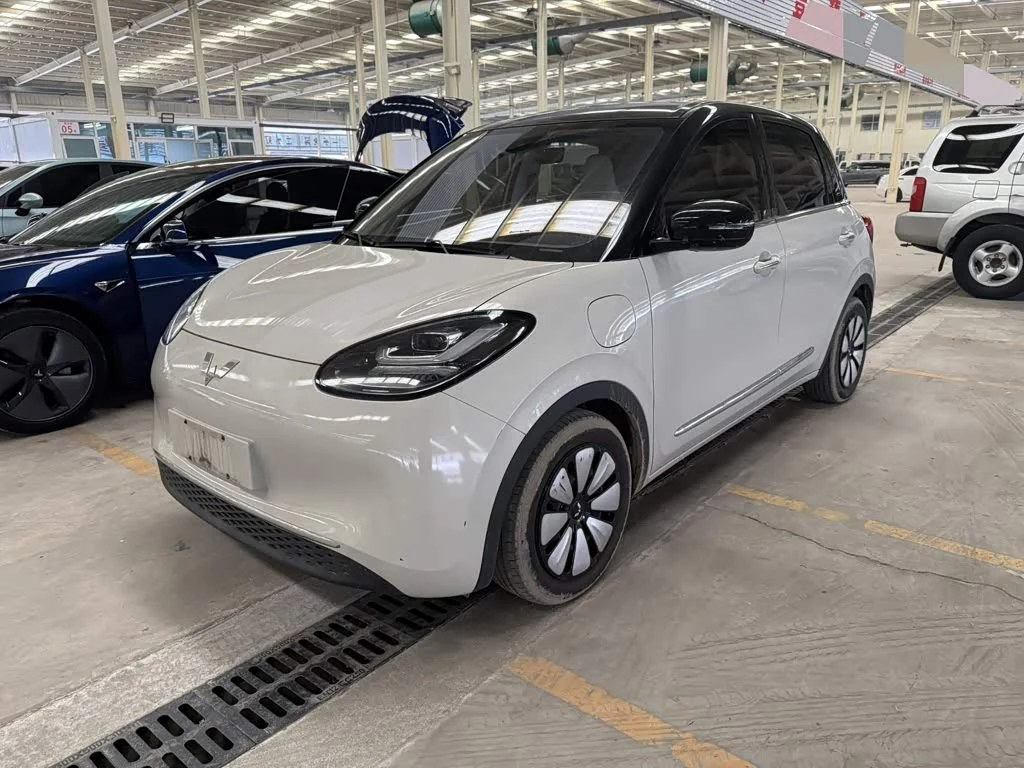 Wuling Binguo