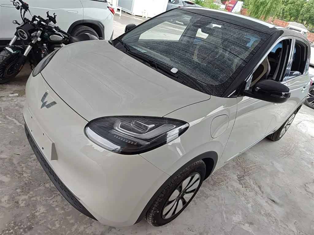 Wuling Binguo