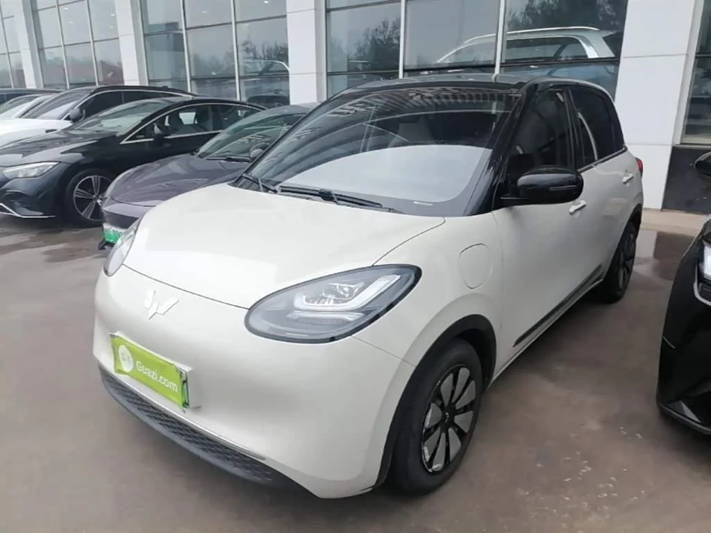 Wuling Binguo