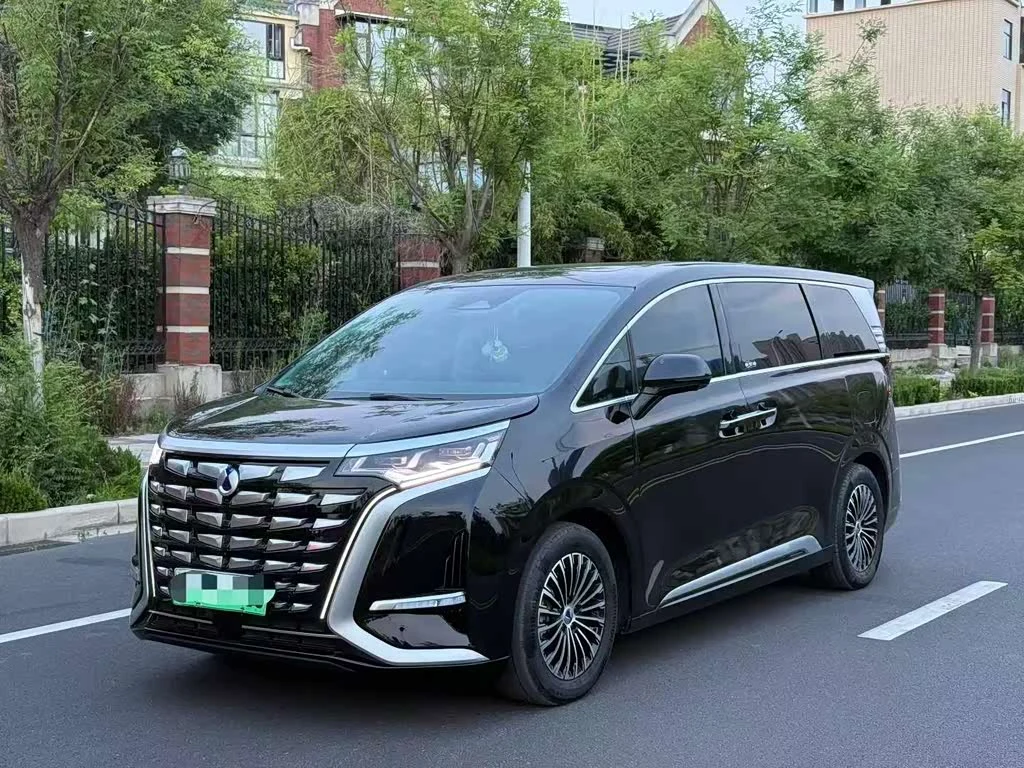 Denza D9