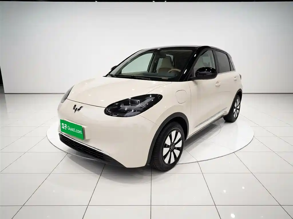 Wuling Binguo