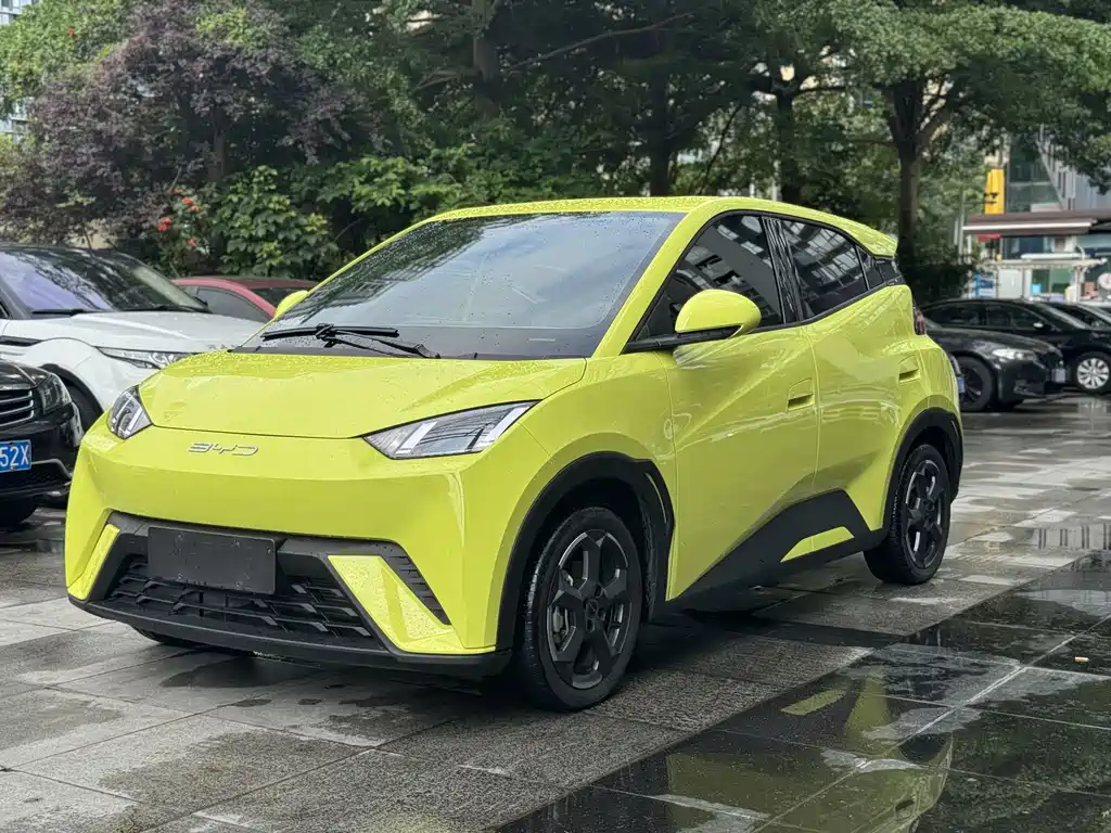 BYD Seagull