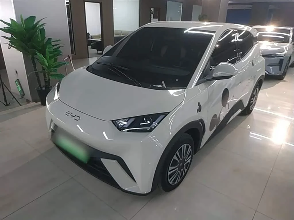 BYD Seagull