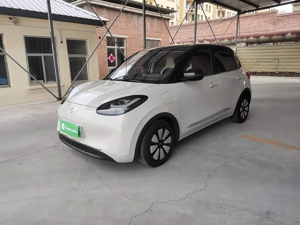 Wuling Binguo