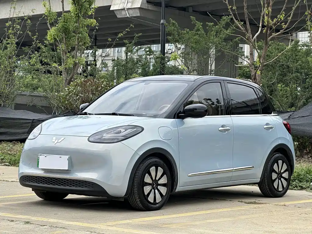 Wuling Binguo