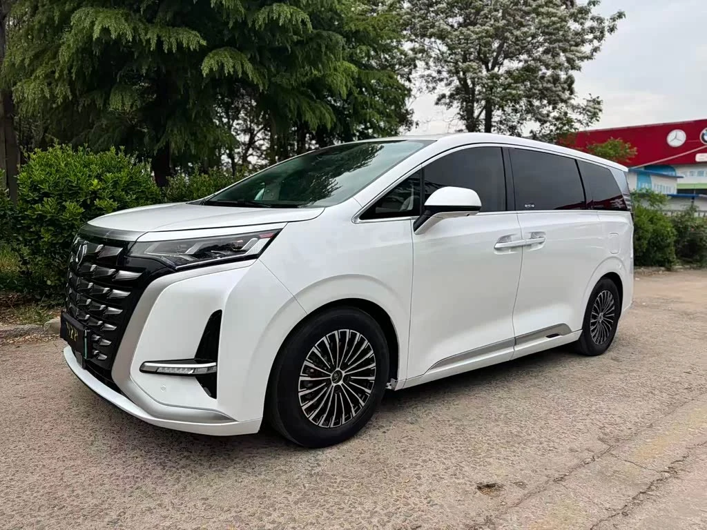 Denza D9