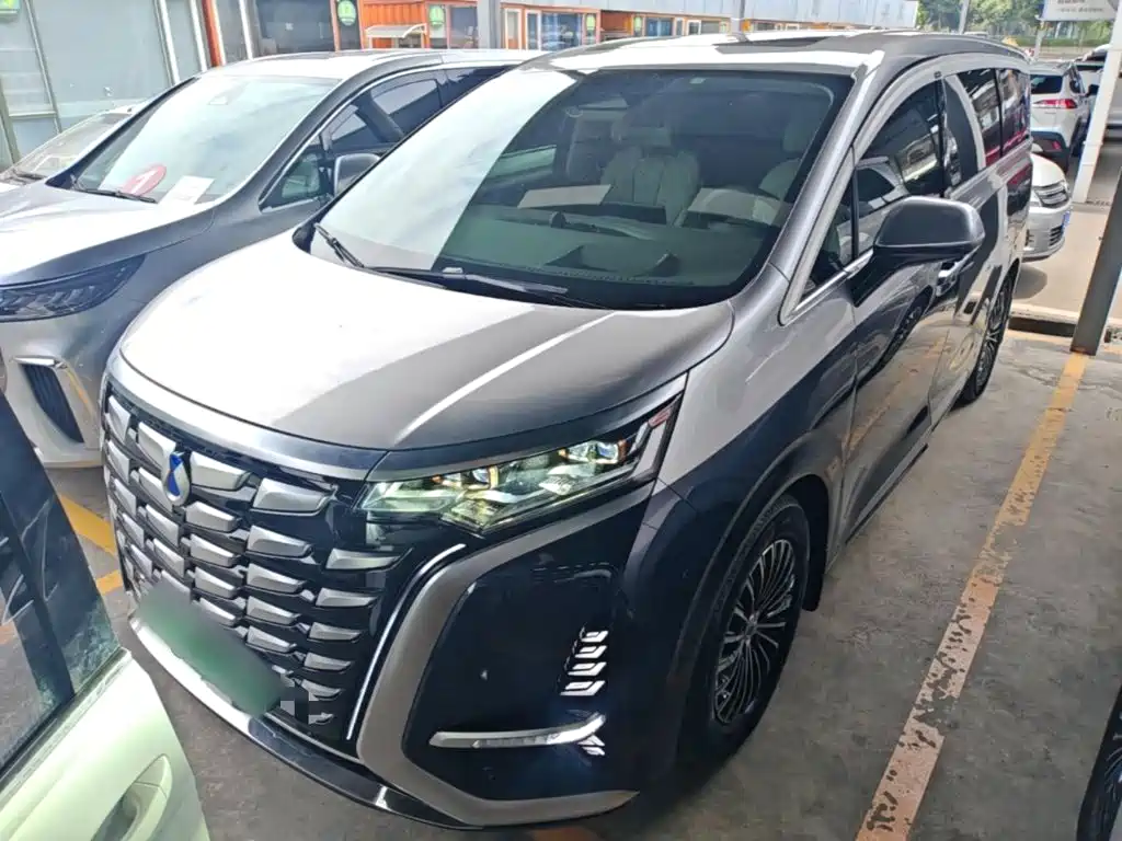 Denza D9