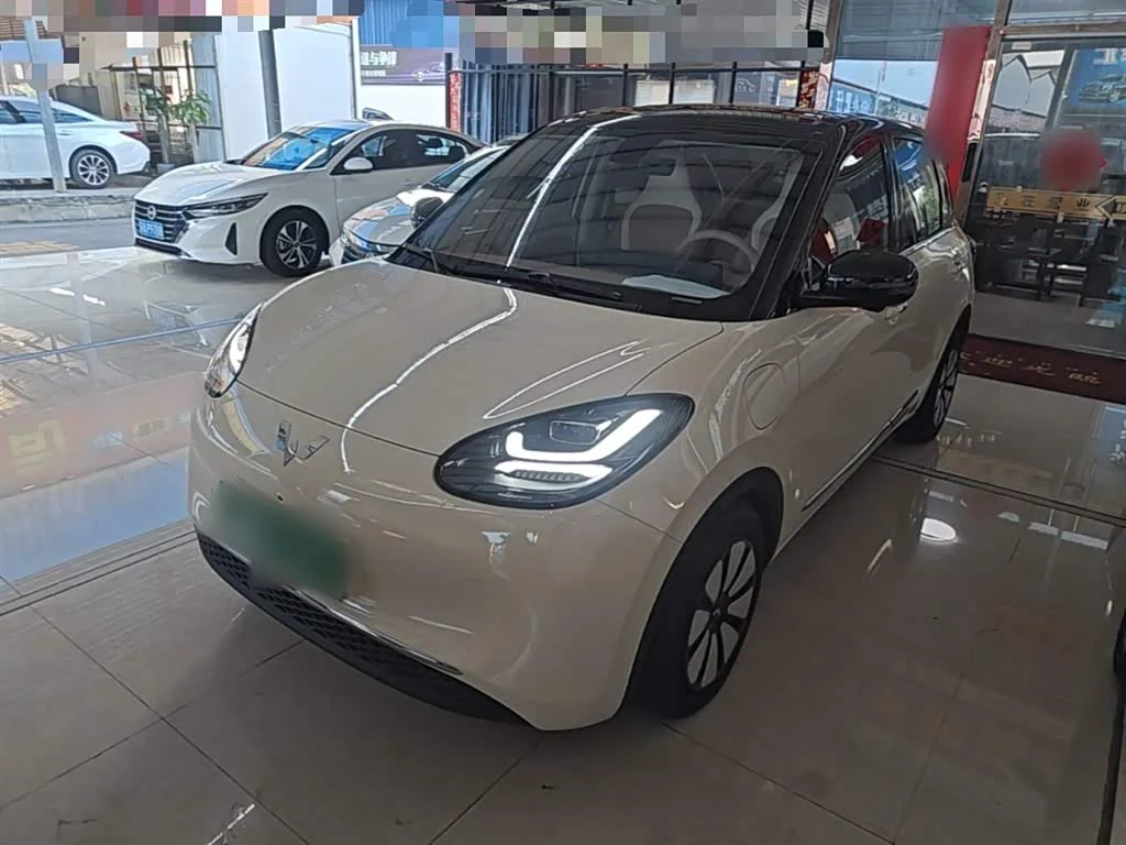 Wuling Binguo