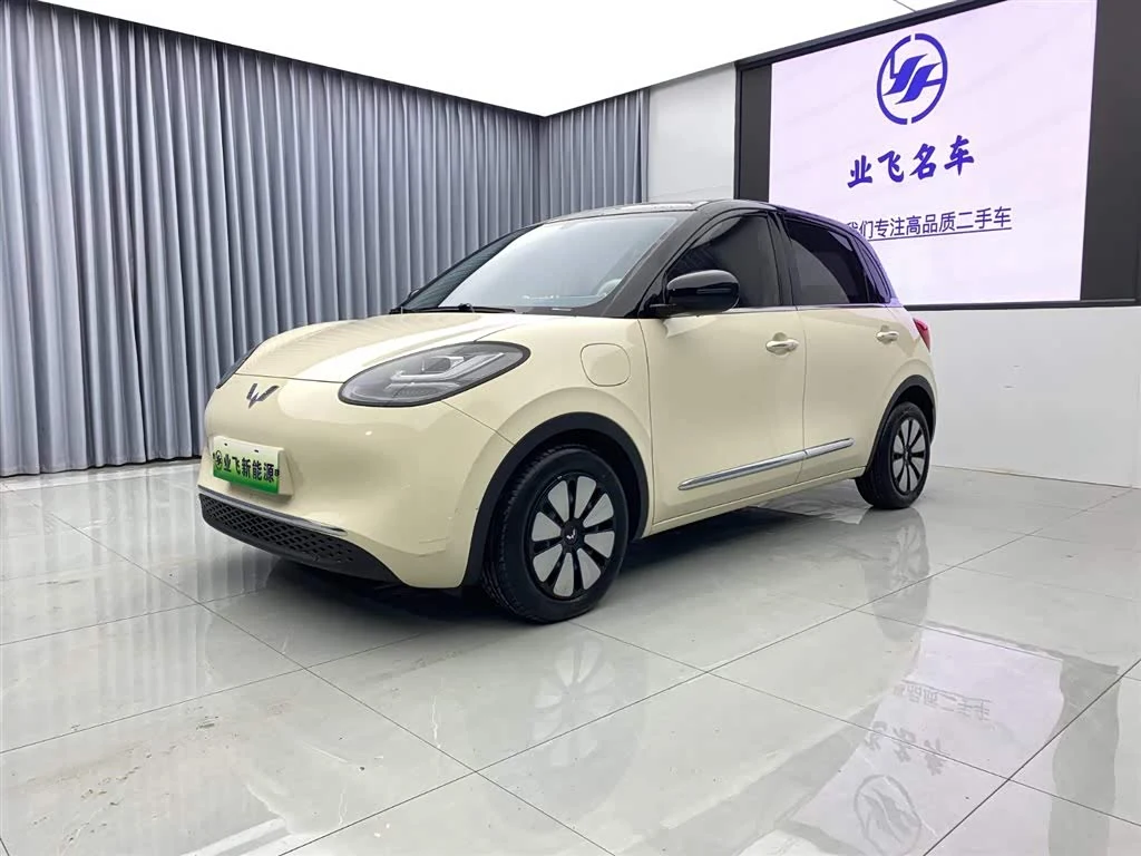 Wuling Binguo