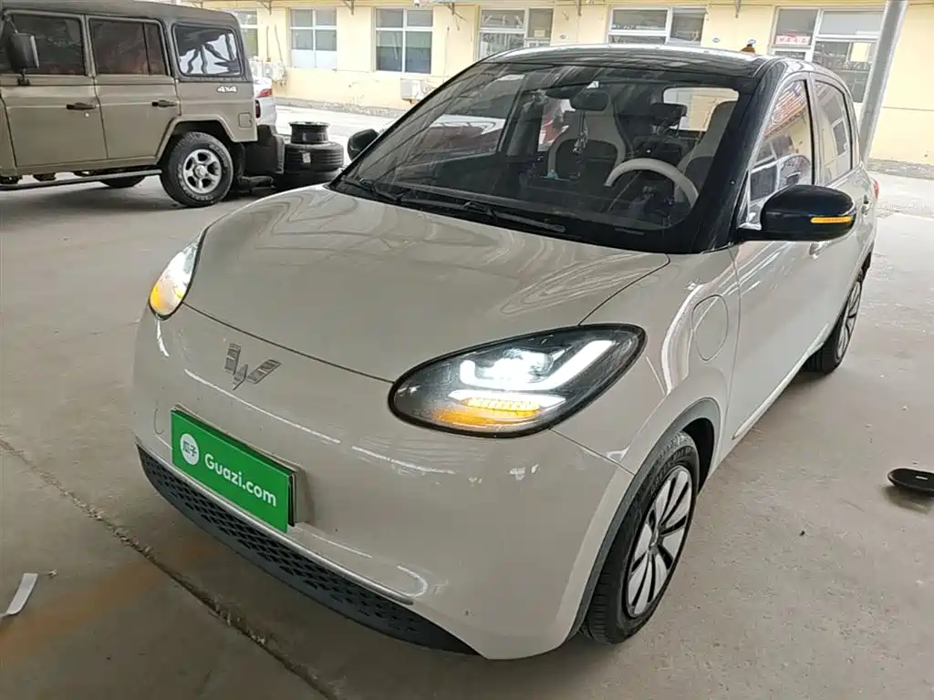 Wuling Binguo