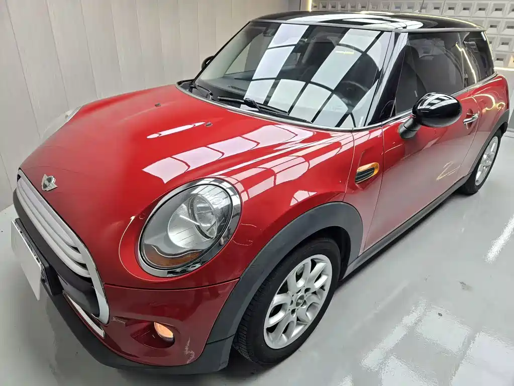 Mini Mini