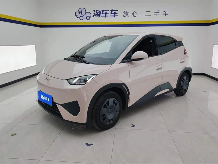 BYD Seagull