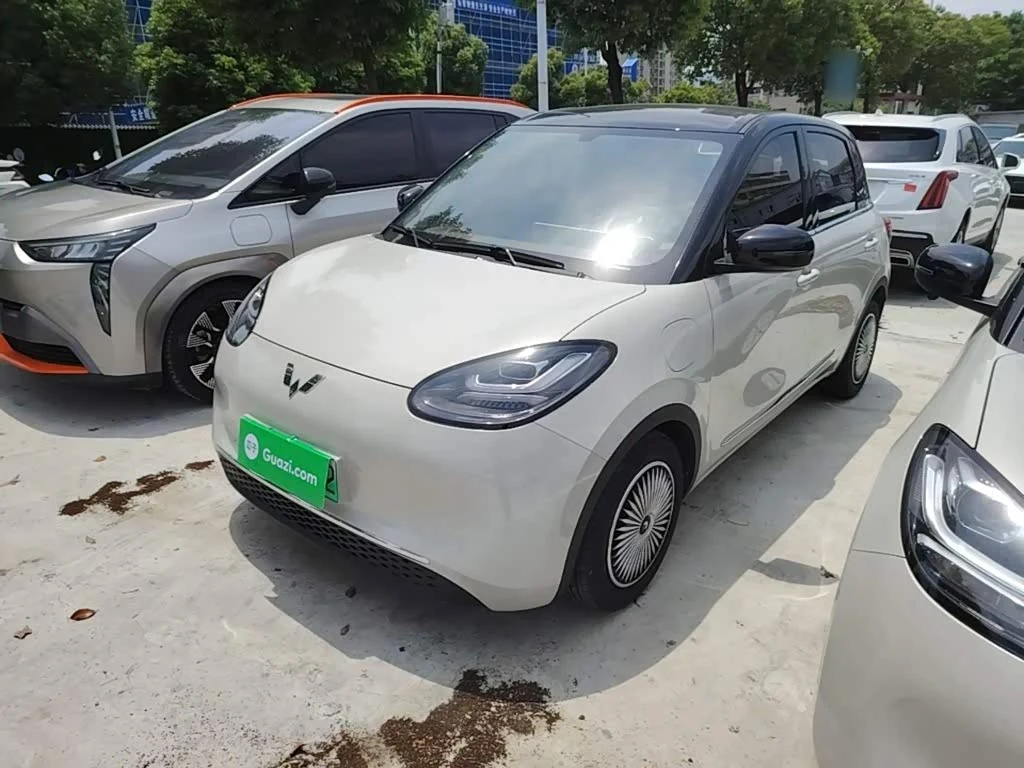 Wuling Binguo