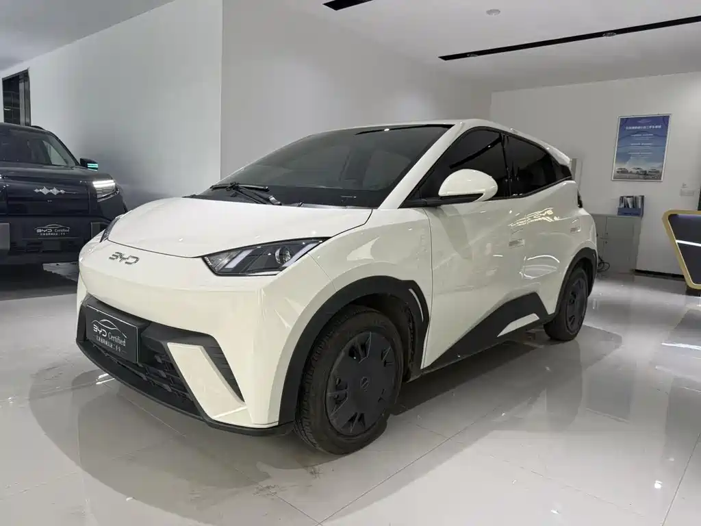 BYD Seagull