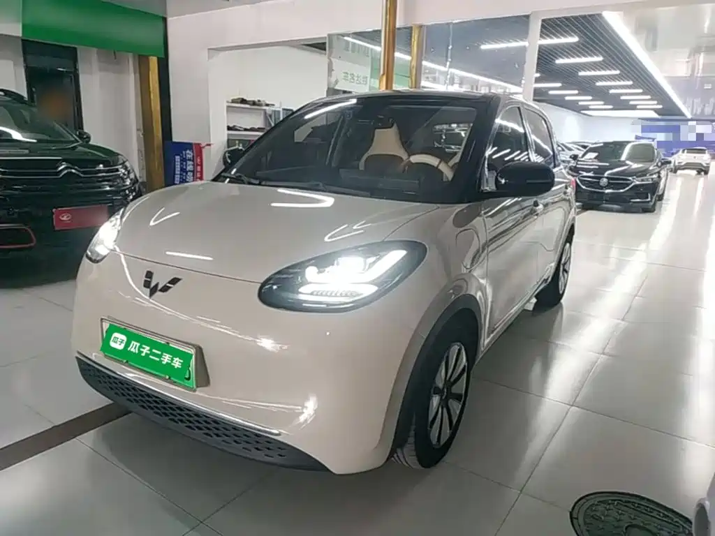 Wuling Binguo