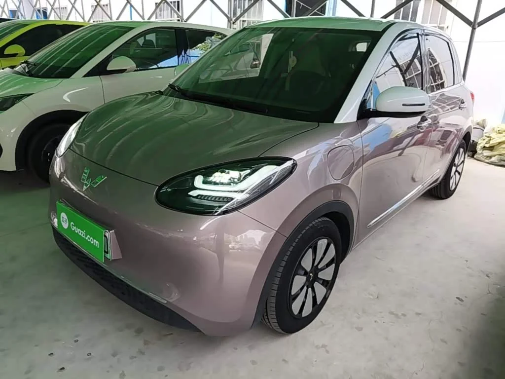 Wuling Binguo
