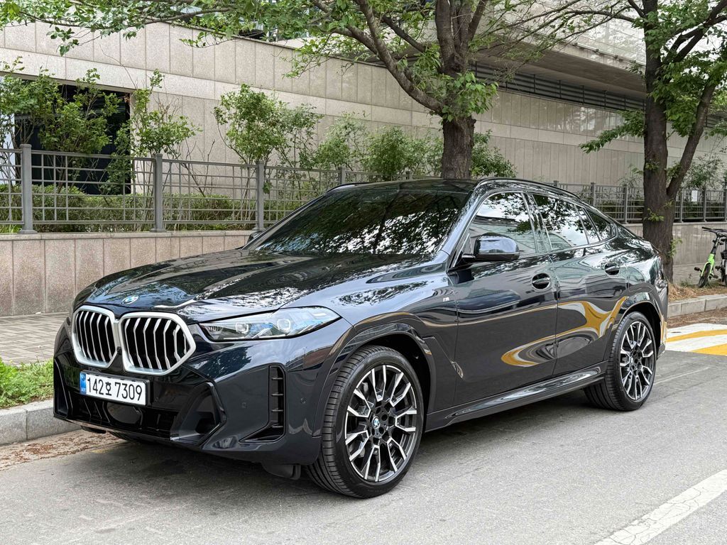 BMW X6