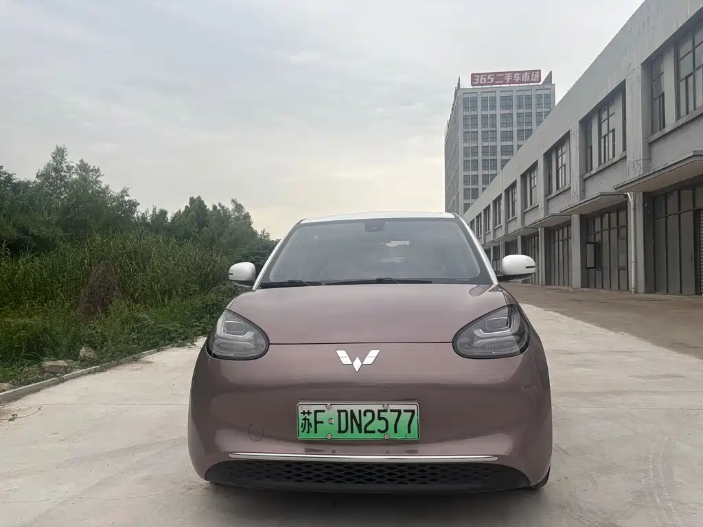 Wuling Binguo