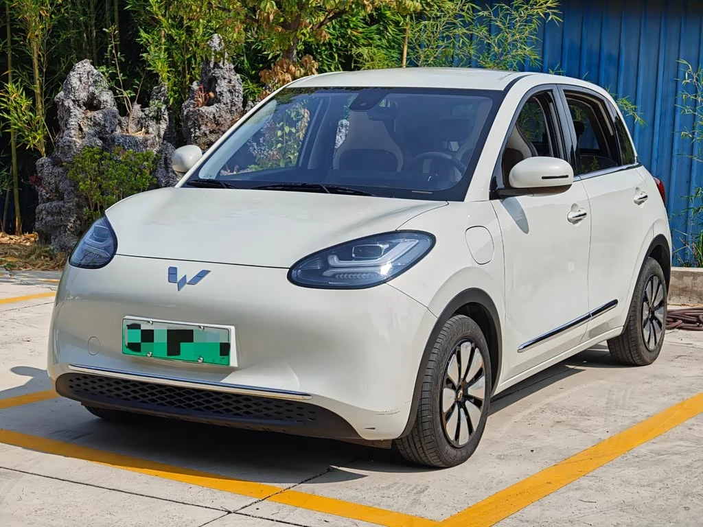 Wuling Binguo