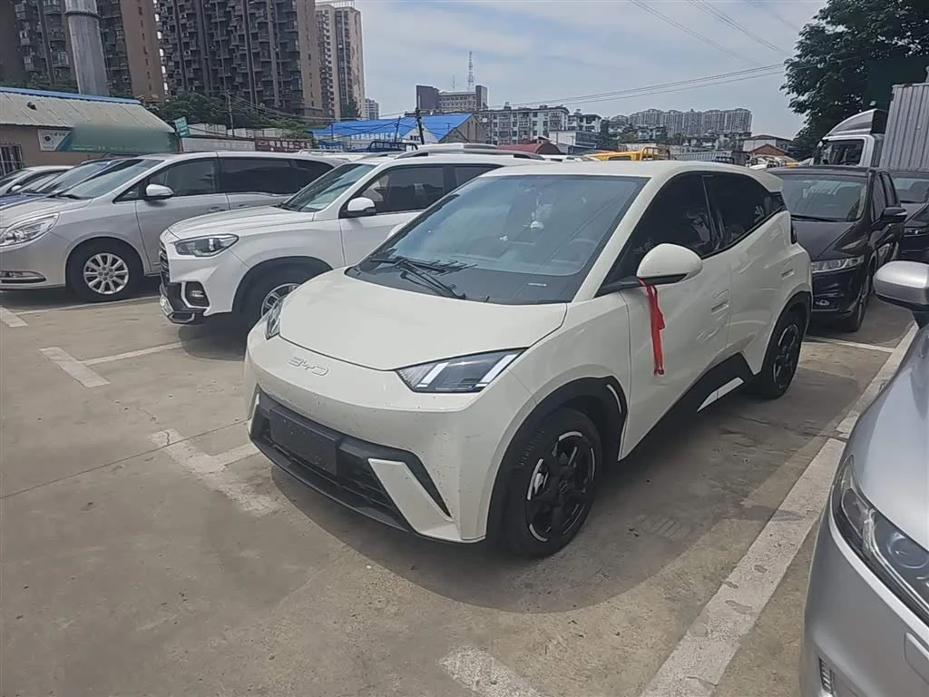 BYD Seagull