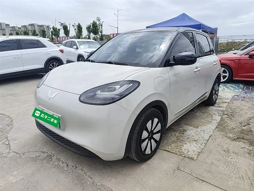 Wuling Binguo